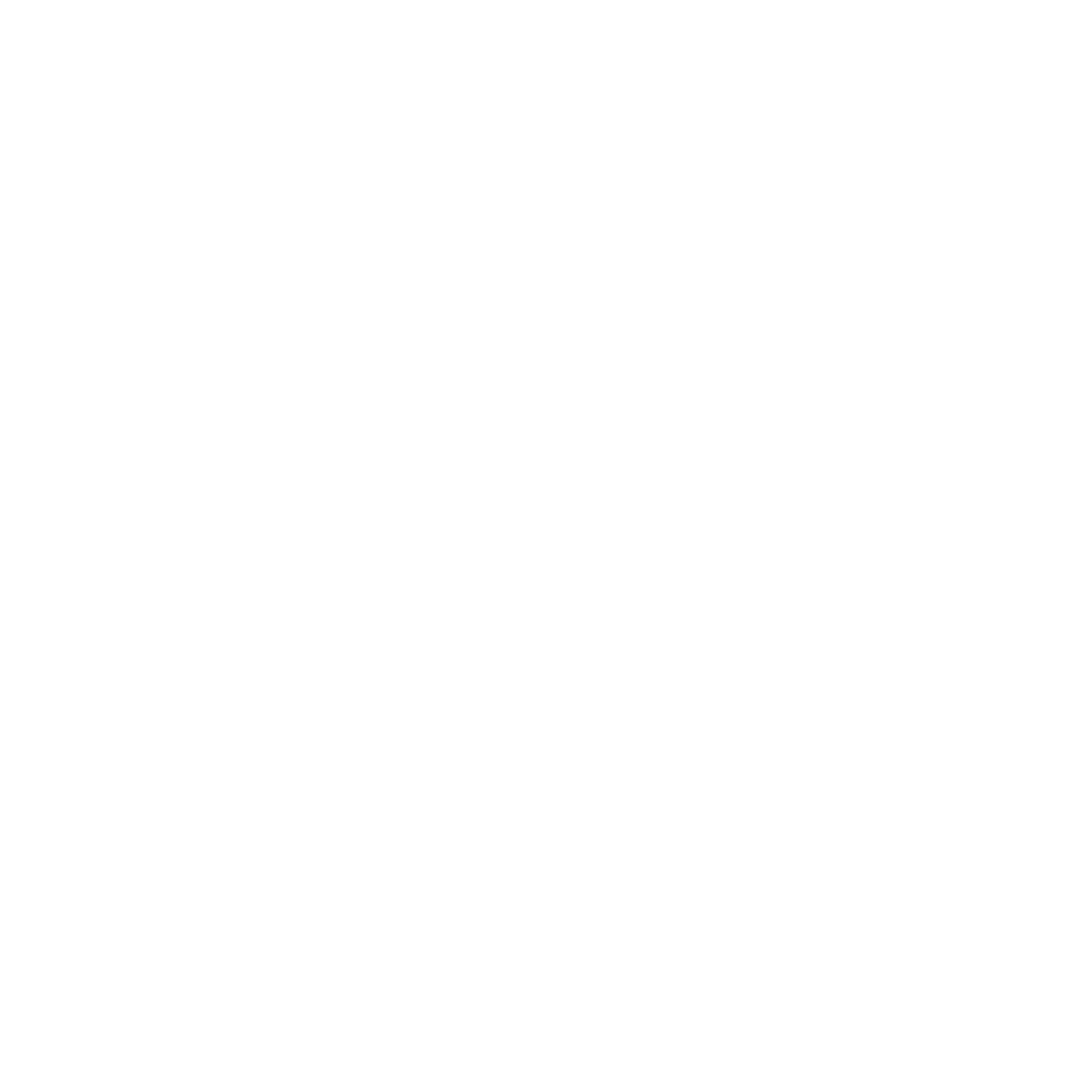 Borealis logo